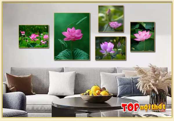 Bộ khung tranh Canvas 5 tấm hoa sen đẹp ở phòng khách TraTop-3589