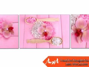 Bộ 3 tấm hoa lan và muối trên nền hồng AmiA 4204172024